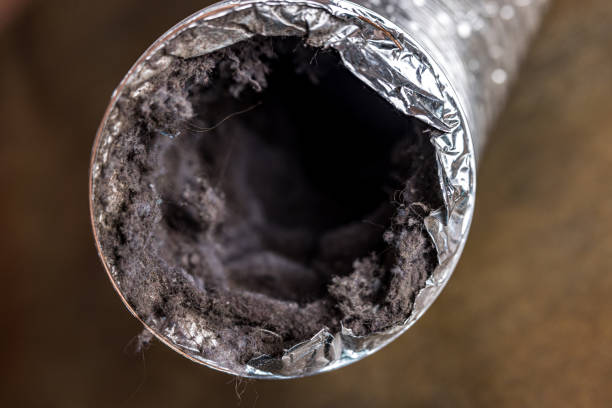 Best Professional Duct Cleaning Services  in Casselton, ND