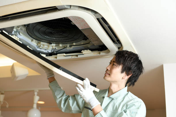 Best Air Duct Mold Removal  in Casselton, ND